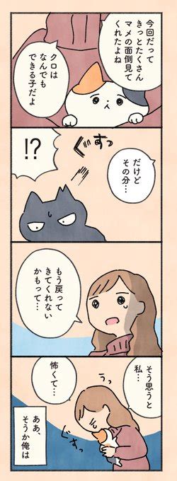 「もしもなんて来ないと思ってた猫」第168話 12 マメを守ることが、かつて自分を助けてくれた凛への恩返しになる」オキエイコデザフェス