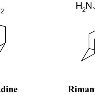 Structure of two adamantane derivatives | Download Scientific Diagram