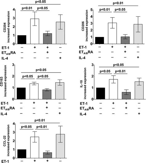 Evaluation Of Gene Expression Of M2 Macrophage Phenotype Markers In Download Scientific Diagram