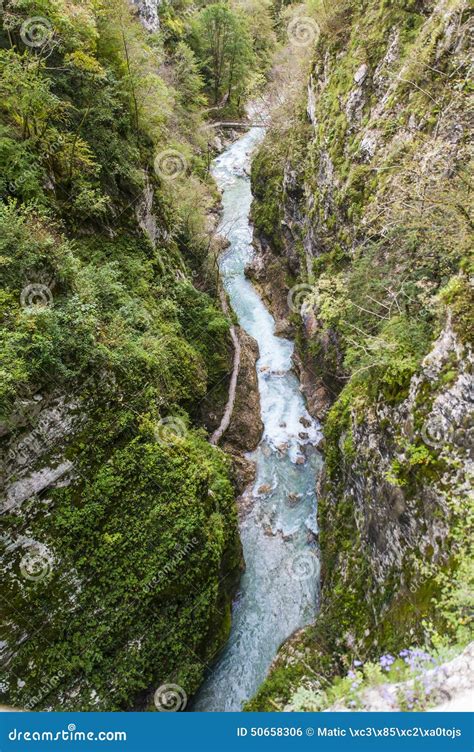 Tolmin Schlucht Natur Slowenien Stockfoto Bild Von Wald Pfad