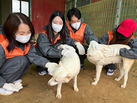 갤러리아百 중복 앞두고 유기견 보호 봉사활동 서울경제