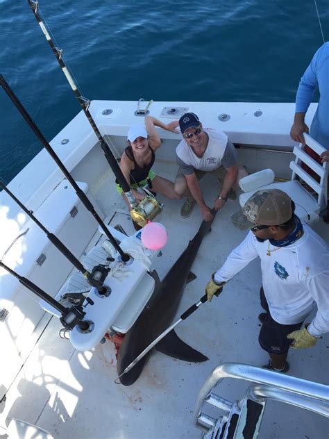 Big shark caught on our shark fishing charter in Ft Lauderdale. The ...