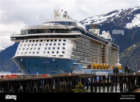 royal caribbeans anthem   seas cruise ship    quantum
