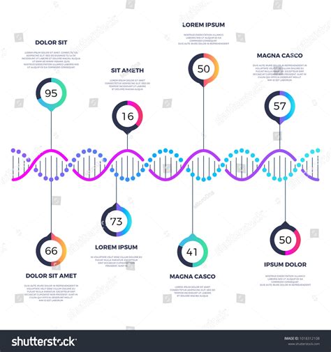 Gene Flow Diagram: Over 58 Royalty-Free Licensable Stock Vectors & Vector Art | Shutterstock