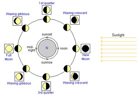 Moon Phase Diagram