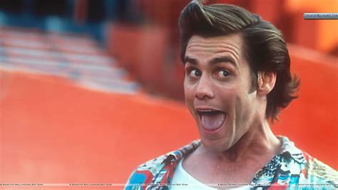 Jim Carrey Laughing In Ace Ventura Hd Wallpaper Pxfuel