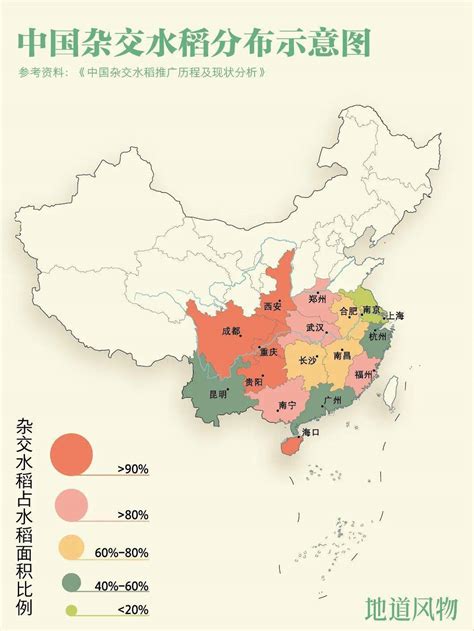 中国水稻地图摄影