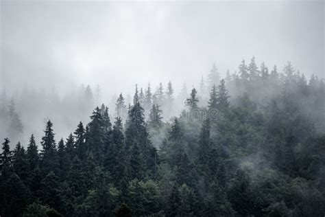 Nebelhafte Berglandschaft Stockbild Bild Von Park Nebel