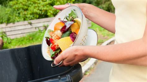 Consejos Claves Para Evitar El Desperdicio De Alimentos En La Cocina