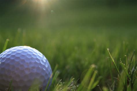 Golf Free Photo Download Freeimages