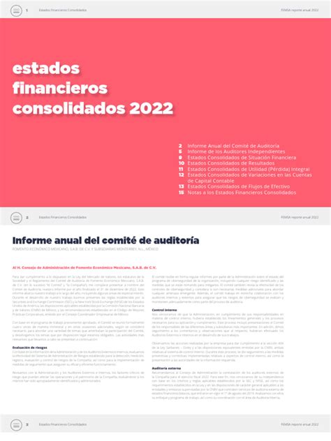 Estados Financieros 2022 Pdf Auditoría Estado Financiero