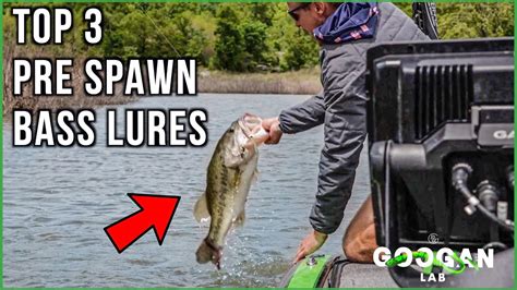 The BEST 3 PRE SPAWN LURES Bass Fishing Tips Bass Manager The