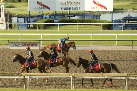 Thoroughbred Meet Starts Saturday With Deep Wagering Menu Woodbine