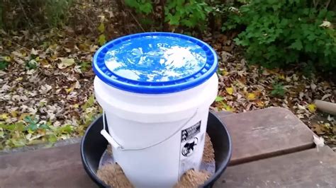 Five Gallon Bucket Chicken And Duck Gravity Feeder Youtube