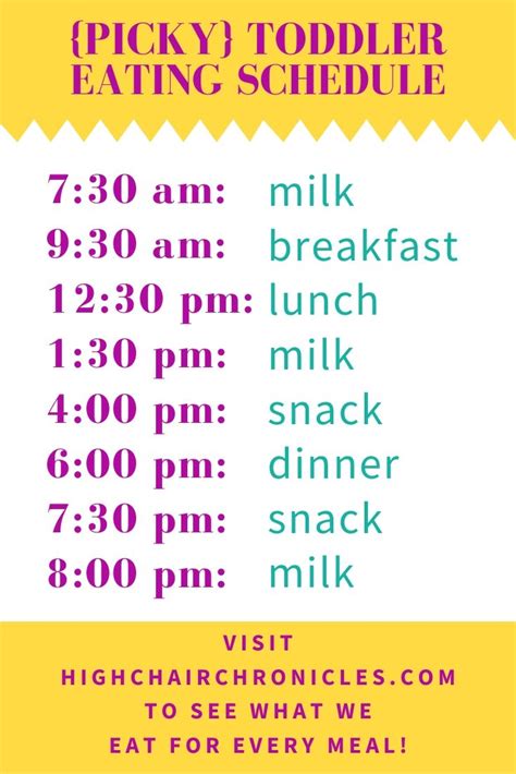 Picky Toddler Eating Schedule (and what he eats!) - High Chair Chronicles