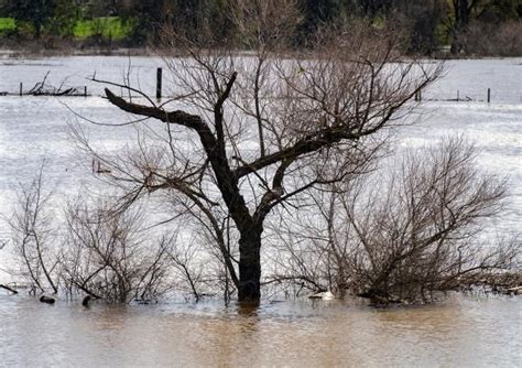 San Joaquin River to pose 'extreme danger' near Vernalis by midday Saturday