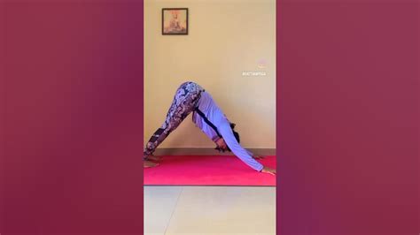 Yoga For Beginners 🧘‍♀️🧘‍♀️ Yogaforall Yoga Shortsvideo