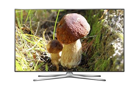 Smart TV with Nature Wallpaper Stock Image - Image of design, equipment: 117435417