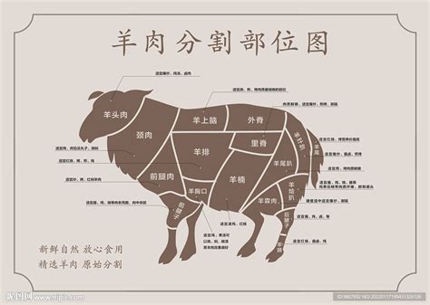 羊肉分割图设计图海报设计广告设计设计图库昵图网