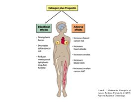 Oncology Intro Flashcards Quizlet