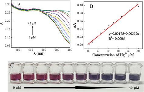 Uvvis Absorption Spectra Of Aunps In The Presence Of Hg With Various