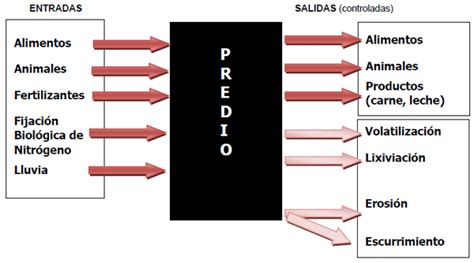 El Balance De Nutrientes En 36 Predios Comerciales Del GIPROCAR II