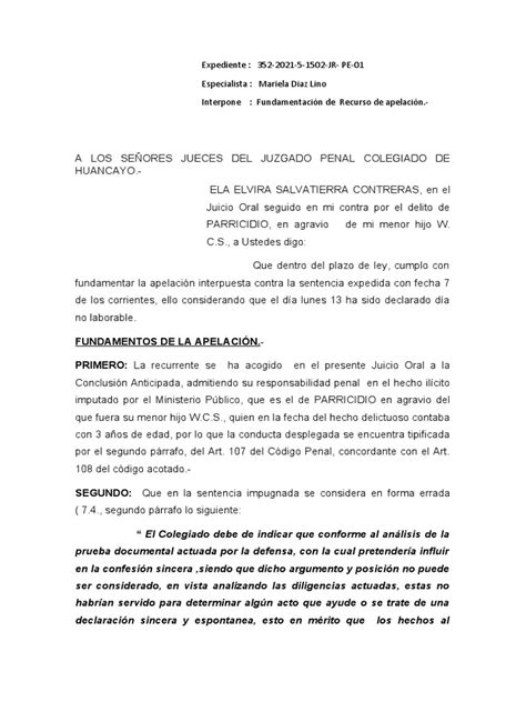 Apelación Sentencia Penal Pdf Apelación Sentencia Ley