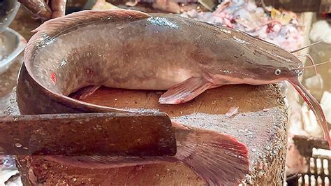 Incredible Big Cat Fish Cutting Skills Live In Bangladesh Fish Market