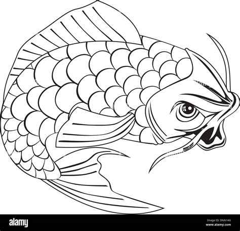 Jumping Carp Stock Vector Images Alamy