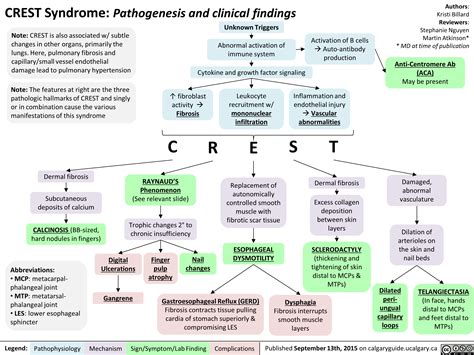 CREST Syndrome: Pathogenesis and Clinical Findings | Calgary Guide