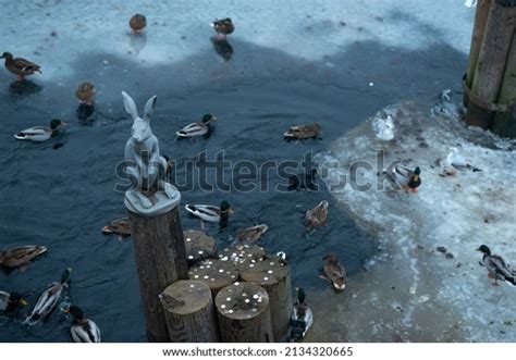 Monument Hare Ioannovsky Bridge Stock Photo 2134320665 Shutterstock