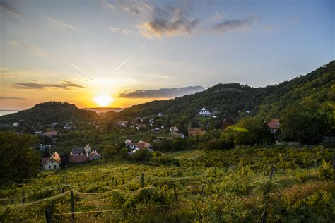 Balaton bor Hungarikumok Gyűjteménye Magyar Értéktár