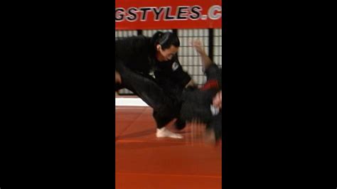 OS Sweep Leg Pick Up Takedown By Hwa Rang Do Grandmaster Taejoon Lee