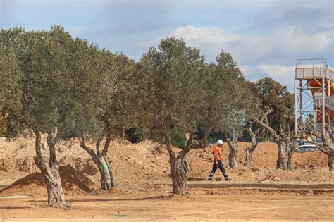 Así van las Obras del parque La Siesta de la urbanización de San Luís