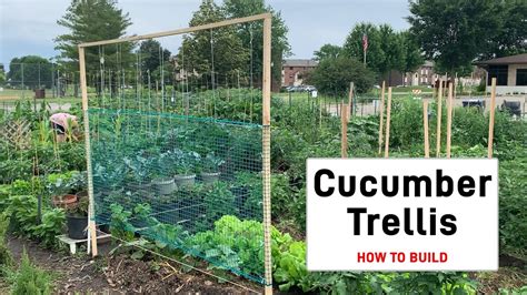 How To Build Basic Cucumber Trellis Youtube