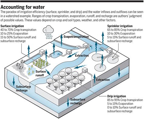 The Paradox Of Irrigation Efficiency China Study Institute Of