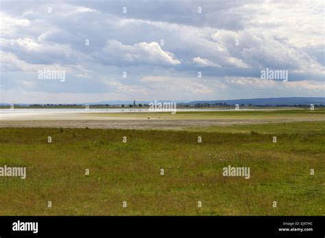 Parque Nacional Lago Neusiedl Fotografías E Imágenes De Alta Resolución Alamy