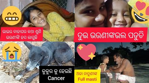 ଭାଇ ଭଉଣୀଙ୍କ ପଡୁନି ମୋ ଝିଅ କଳୀ କରୁଛି ଲୋ ମା ମୋ ବାପାଙ୍କ ନାତୁଣୀ ବୋହୂ ଠିକ ହୋଇଗଲାଣି🤣 Odiavlog Odia