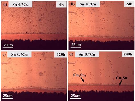 Microstructure Of Interfacial IMC Of Sn 0 7Cu After Annealing At A 0