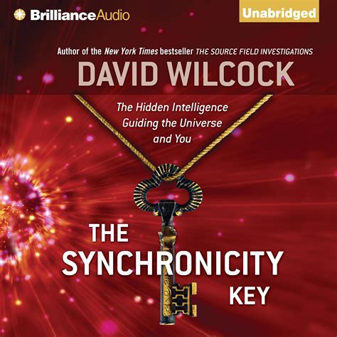 The Synchronicity Key - Audiobook | Listen Instantly!