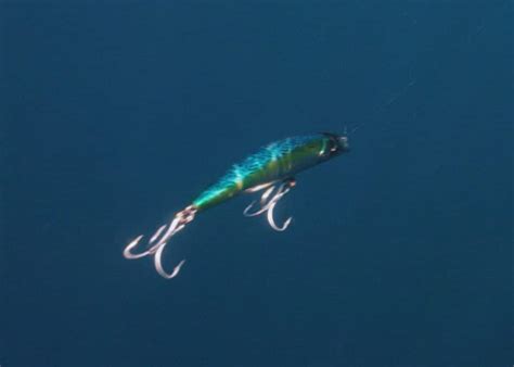 Yo-Zuri Mag Darter – All-in-One So-Cal Inshore/Offshore Killer | BDOutdoors