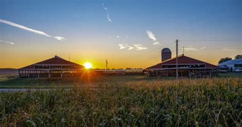 Michigan Senate Updates Sex Offender Registry Law To Meet Court Ruling