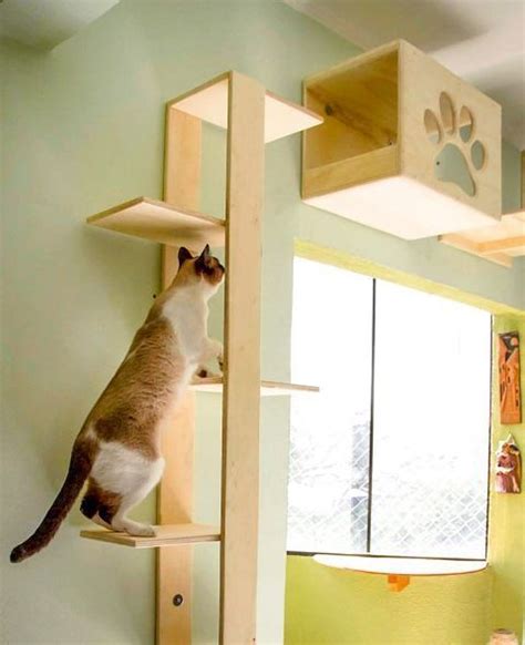 70 Brilliant Diy Cat Playground Design Ideas With Images Cat