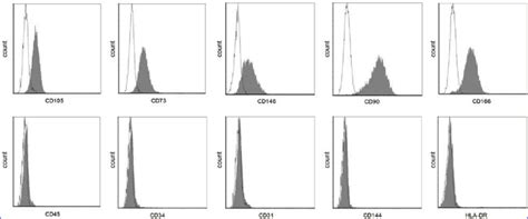 Flow Cytometric Analysis Of Surface Marker Expression On Wj Mscs The