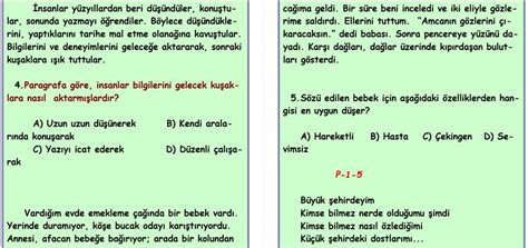 Paragrafta Anlam TEST 5 SINIF TÜRKÇE