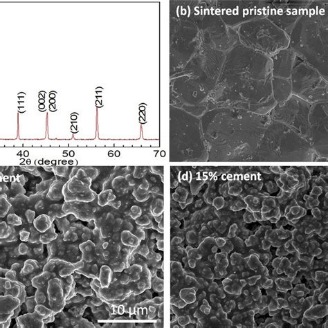 A Xrd Pattern For Calcined Bcztsn Powder Sem Micrographs Of B