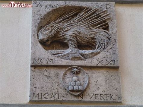 Contrada Dell Istrice A Siena Foto Siena