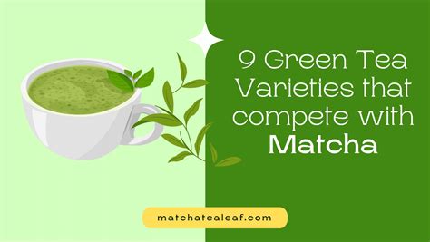 9 Green Tea Varieties That Compete with Matcha! - Matcha the Super Tea