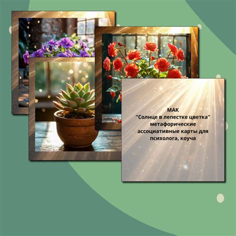 МАК "Солнце в лепестке цветка" метафорические ассоциативные карты для ...