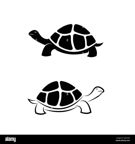 Dessin Tortue De Terre Noir Et Blanc Banque D Images Noir Et Blanc Alamy